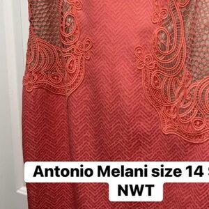 Antonio Melani Coral Sleeveless Lace Dress